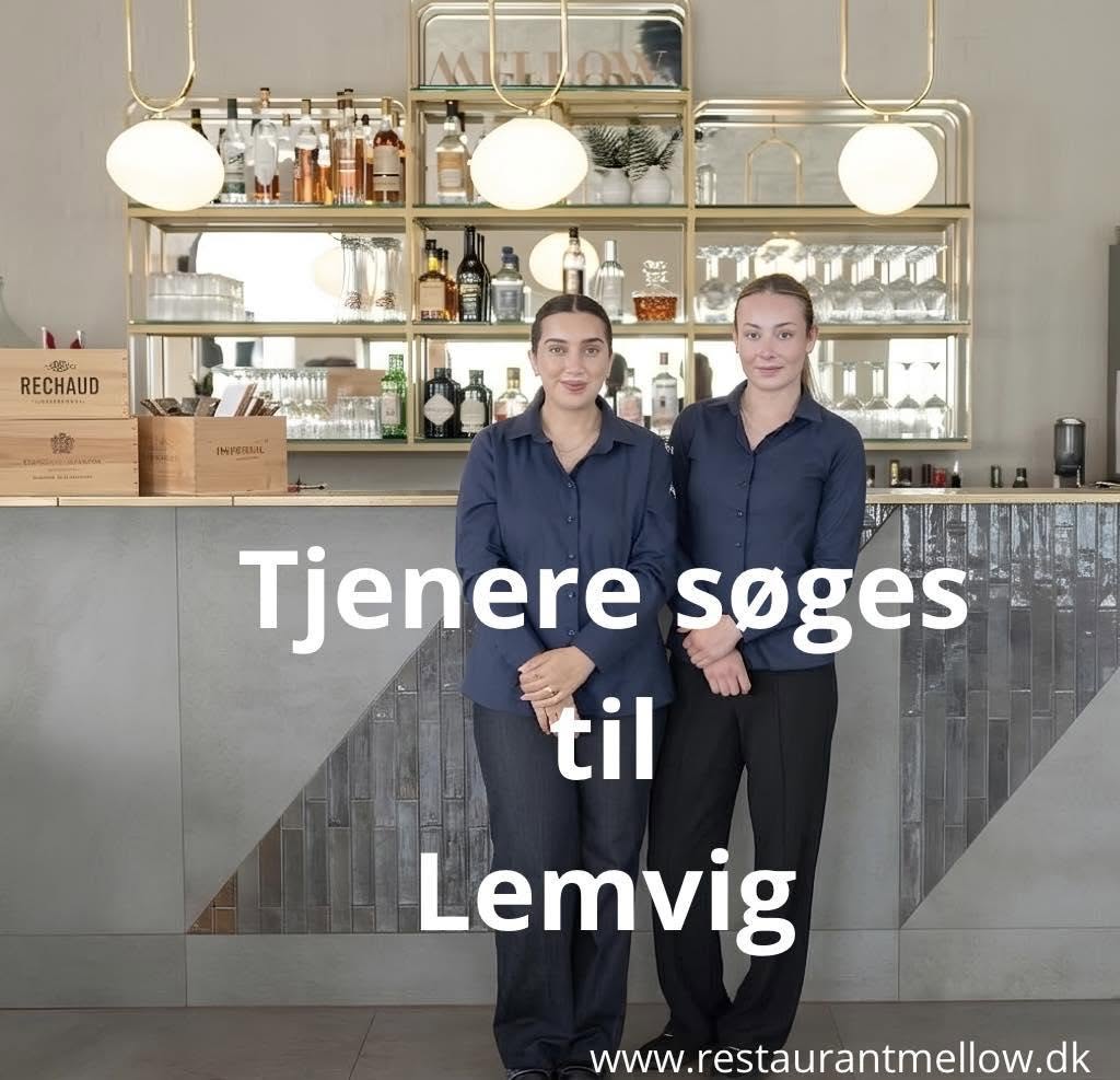 Tjener/serveringspersonale til Restaurant Mellow hos Restaurant Mellow