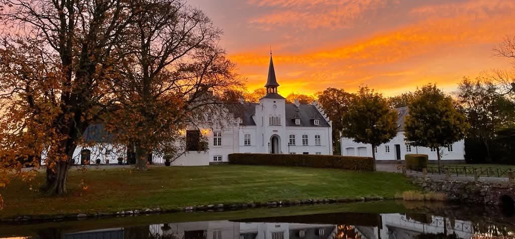 Kok til Tøystrup Gods i Ringe hos Tøystrup Gods billede 1